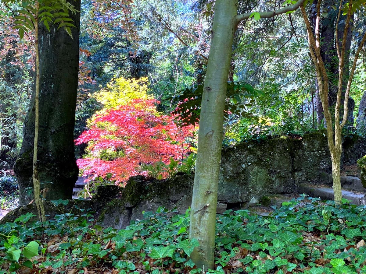 Fontana di Winterthur